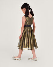 Land of Wonder Shimmer Organza Dress, Multi (MULTI), large