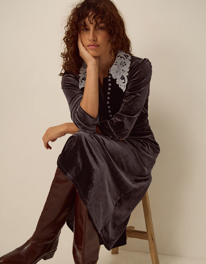 Leith Lace Collar Velvet Midi Dress, Brown (CHOCOLATE), large