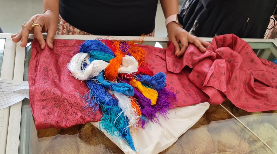 Our past shapes our future