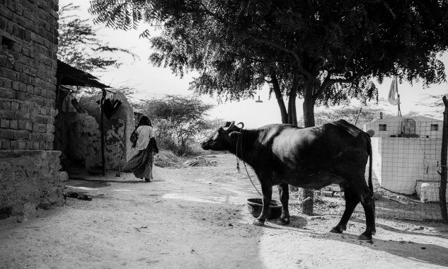 Water Wisdom case study gallery image 10