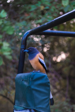 Prakratik Society case study gallery image 3