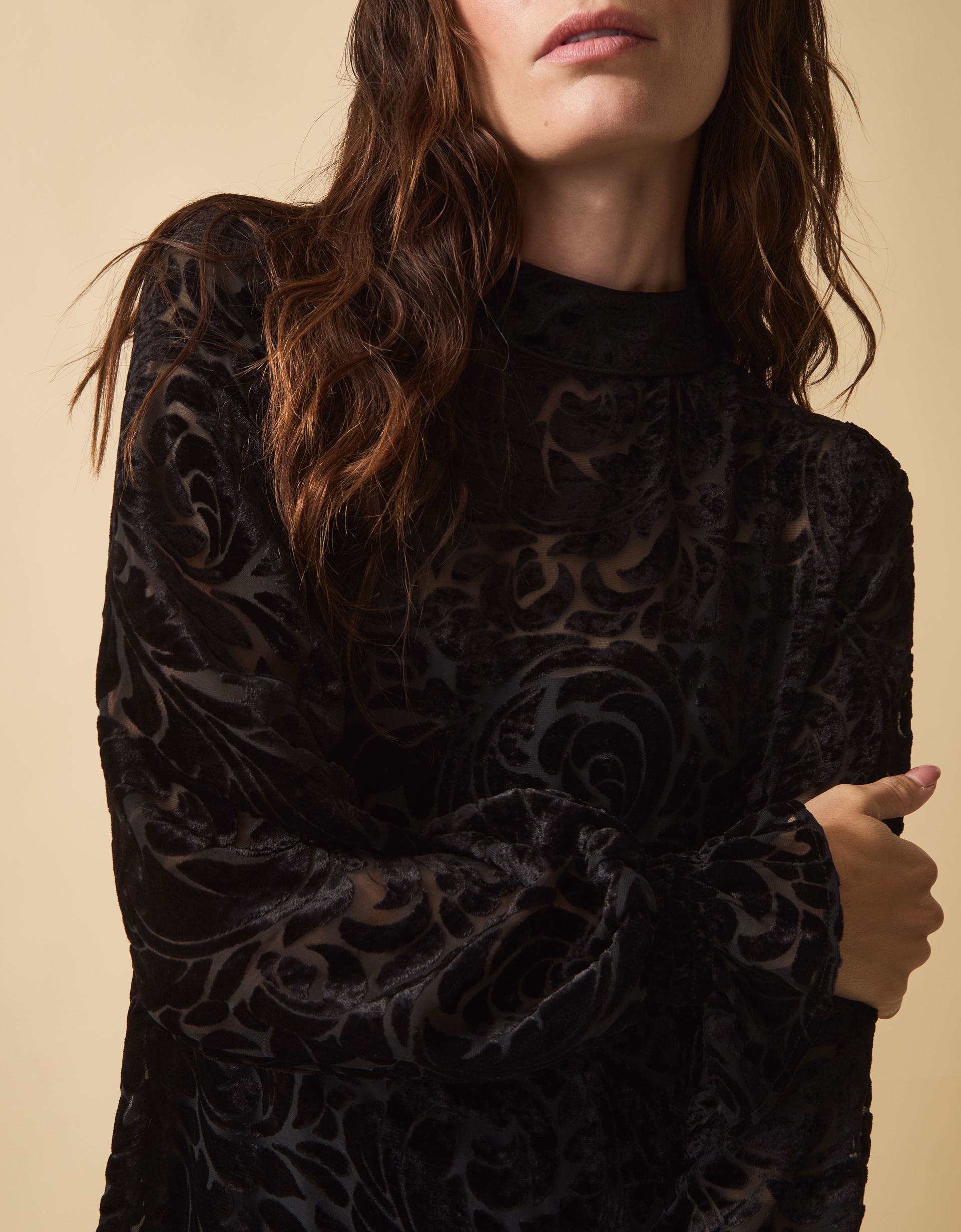 Monsoon Clemence Gigi Velvet Burnout Maxi Dress, view 3