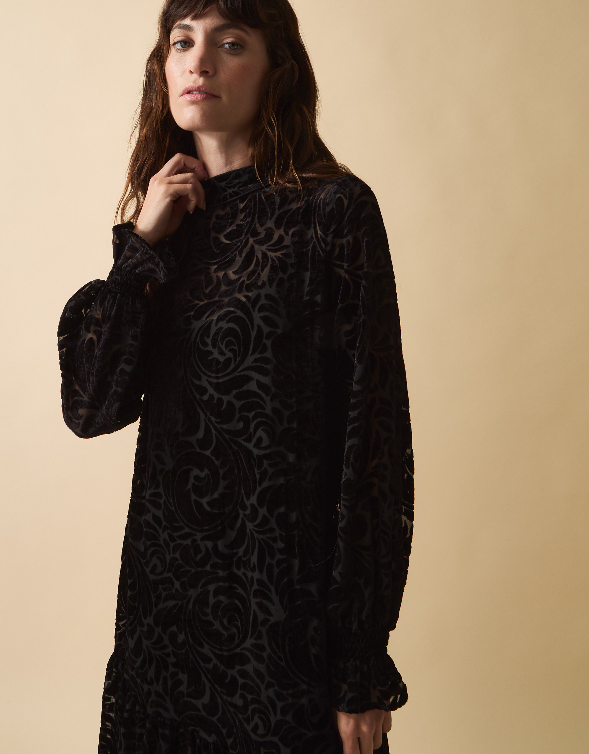 Monsoon Clemence Gigi Velvet Burnout Maxi Dress, view 4