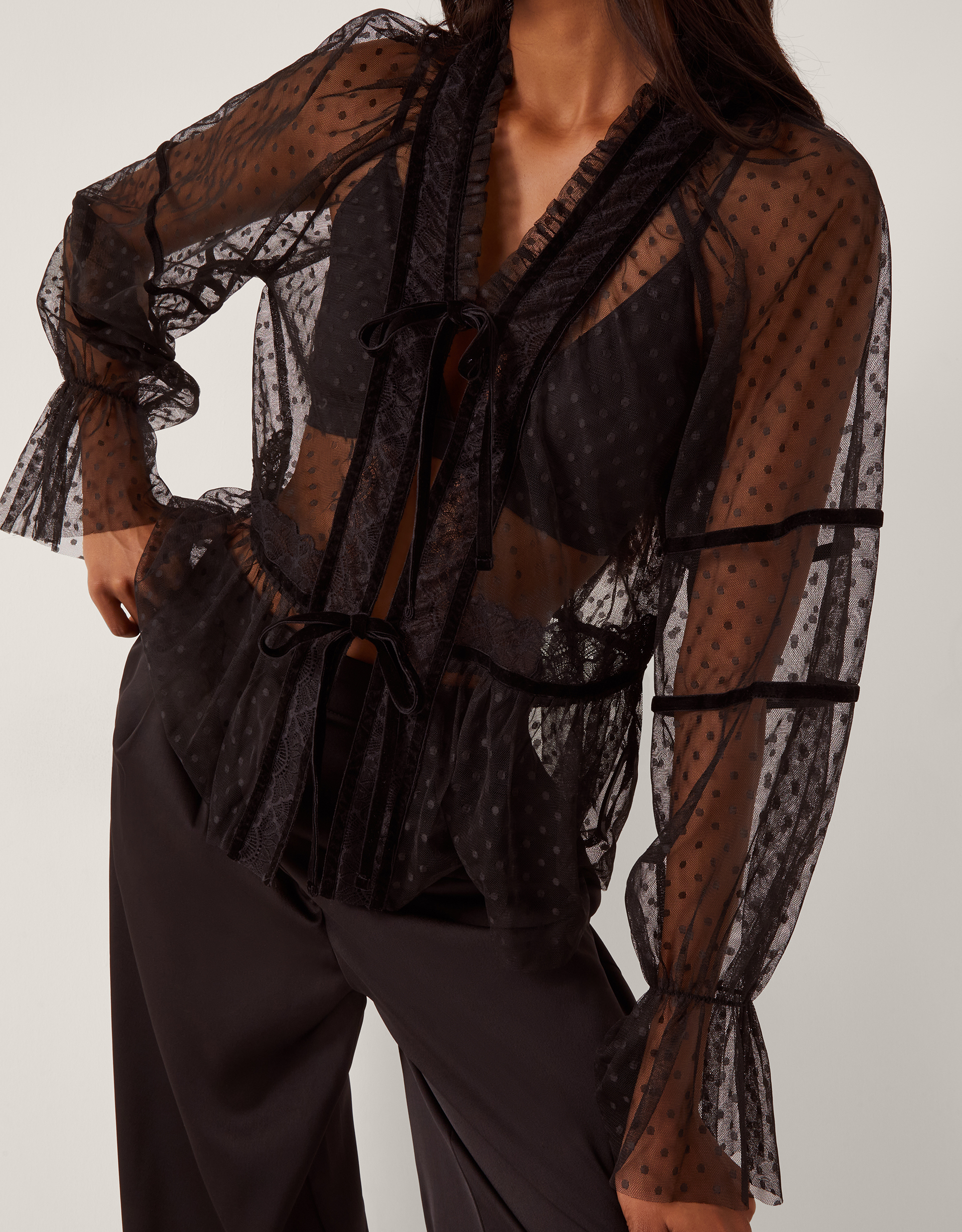 Monsoon Lina Sheer Polka Dot Lace Blouse, view 2