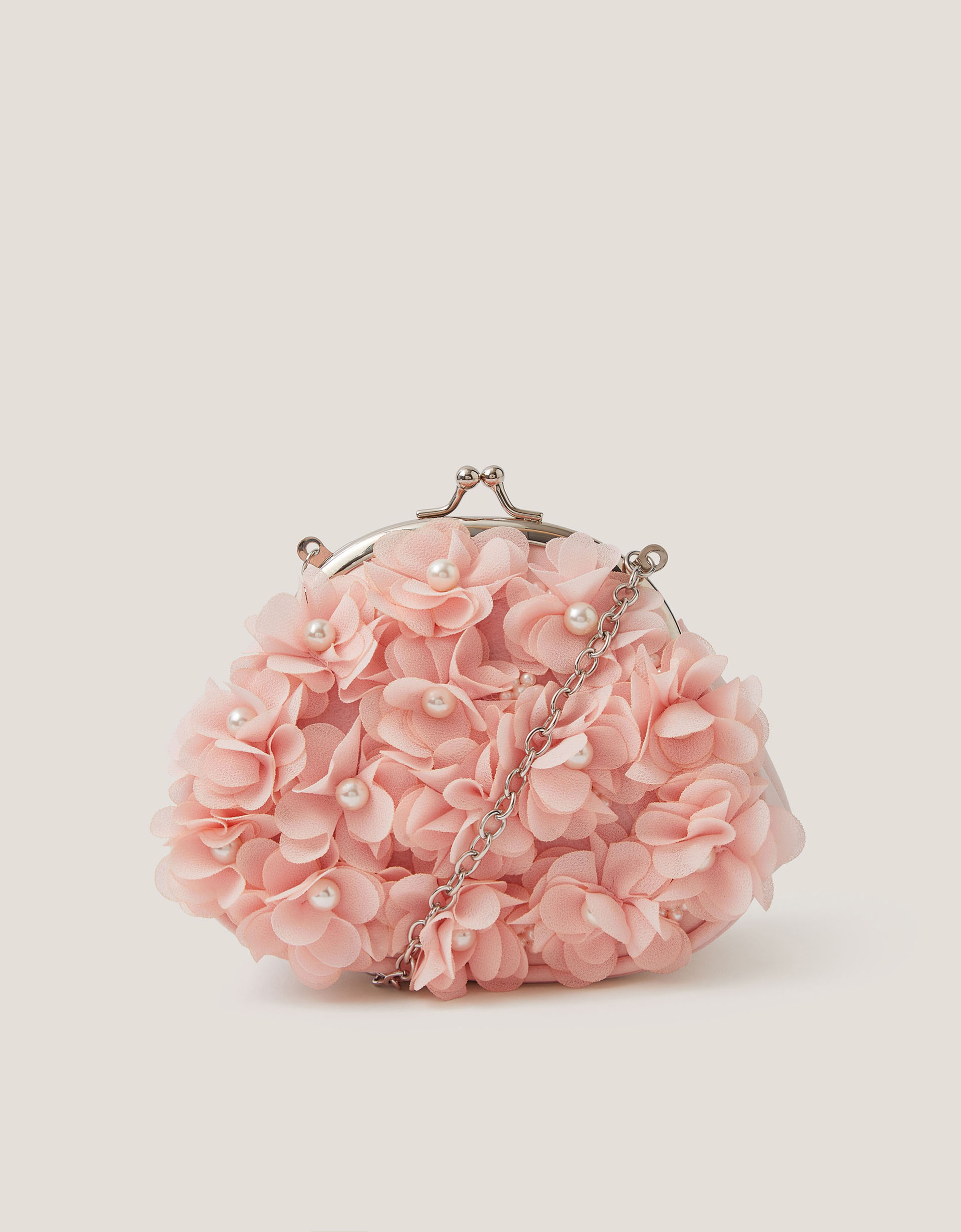 Monsoon Appliqué Floral Cluster Clip Frame Bag