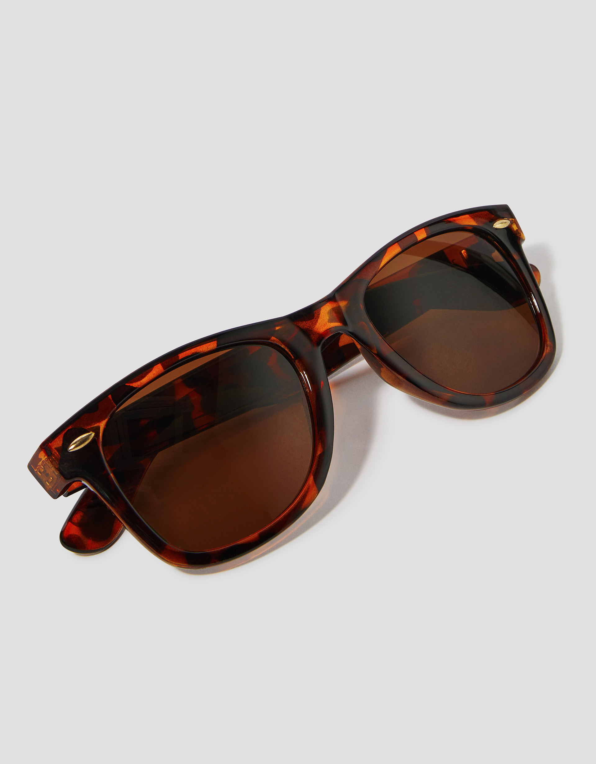 Monsoon Wayfarer Sunglasses in Brown